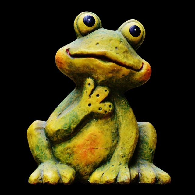 Quel rapport entre une grenouille et le Numérique?