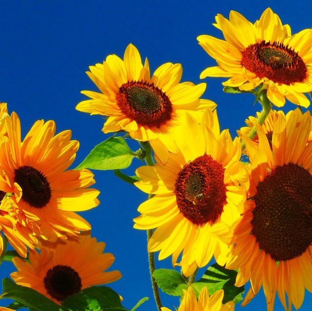 It's Summertime!